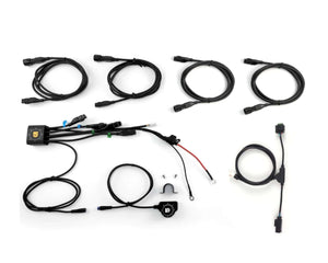 DENALI DialDim Lighting Controller for BMW R1250GS