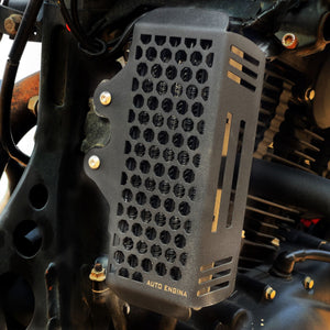 Auto Engina Radiator Guard for RE Himalayan 411